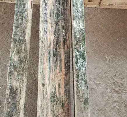 木头发霉怎么把霉斑去掉